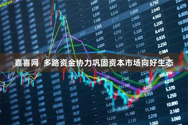 嘉喜网  多路资金协力巩固资本市场向好生态