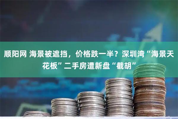 顺阳网 海景被遮挡，价格跌一半？深圳湾“海景天花板”二手房遭新盘“截胡”
