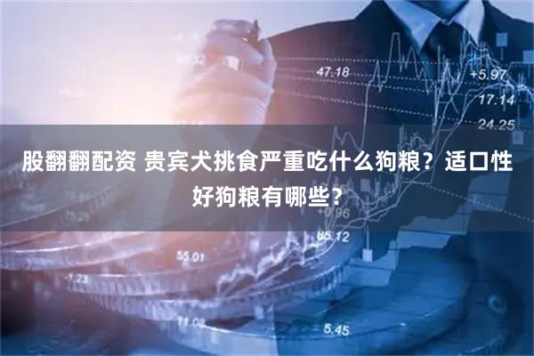 股翻翻配资 贵宾犬挑食严重吃什么狗粮？适口性好狗粮有哪些？