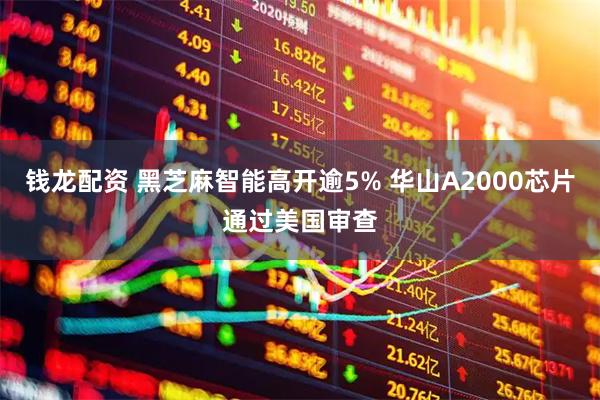 钱龙配资 黑芝麻智能高开逾5% 华山A2000芯片通过美国审查