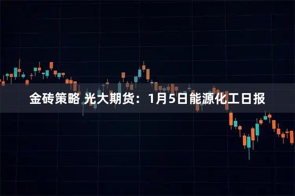 金砖策略 光大期货：1月5日能源化工日报