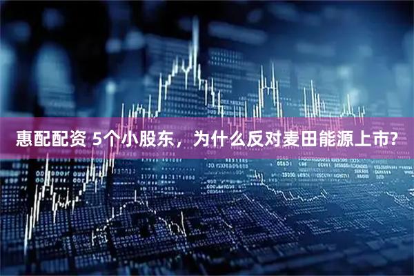 惠配配资 5个小股东，为什么反对麦田能源上市?